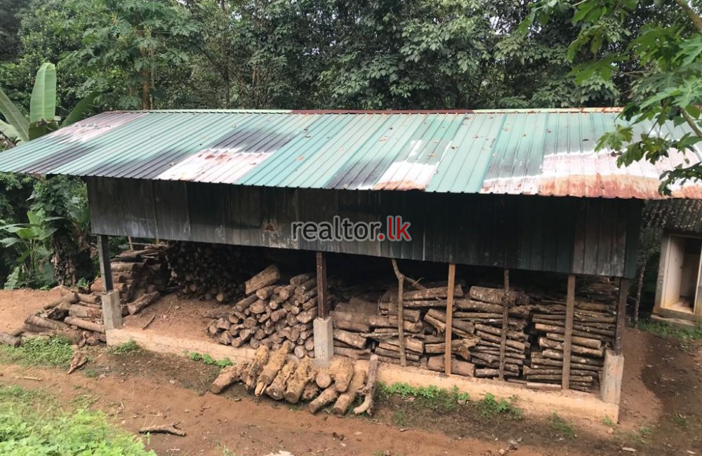 Ratnapura Rubber Estate For Sale