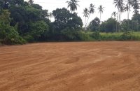 Pipe Road Land For Rent